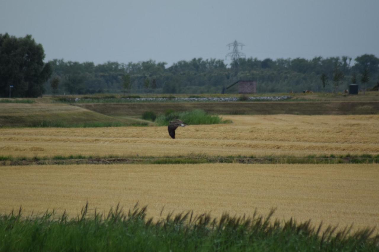 B&B 't Steurgat Werkendam Exterior foto