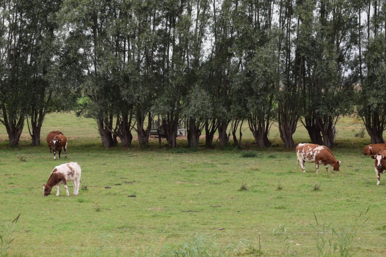 B&B 't Steurgat Werkendam Exterior foto
